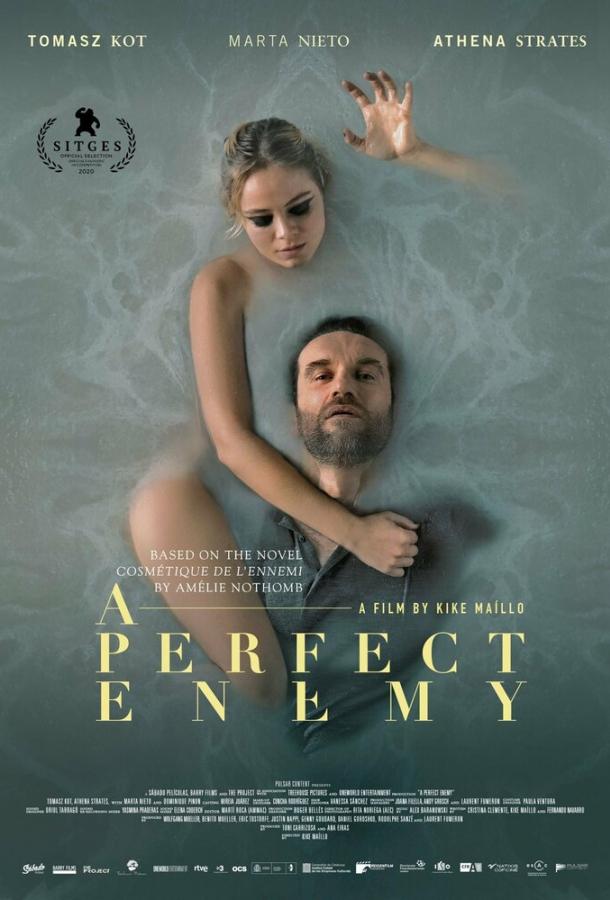 Фильм Идеальный враг (2020) смотреть онлайн в хорошем качестве